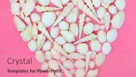  Presentation with new born - Slide set with seashell-heart-with-a-variety background and a coral colored foreground