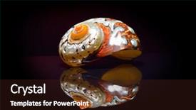  Presentation with seashell - Slides featuring abstract connection dots technology background digital illustration network concept 3d rendered background and a wine colored foreground