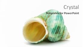  Presentation with seashell - PPT theme featuring seashell isolated on white background background and a white colored foreground