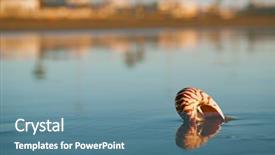  Presentation with seashell - Slide deck with seashell nautilus on agadir beach background and a teal colored foreground