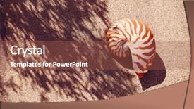  Presentation with seashell - Amazing PPT theme having seashell nautilus on sea beach backdrop and a tawny brown colored foreground