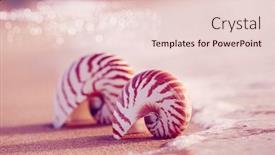  Presentation with sea sun - Beautiful theme featuring seashell-nautilus-on-sea-beach backdrop and a lemonade colored foreground