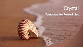 Presentation with sea sun - Audience pleasing presentation theme consisting of seashell nautilus on sea beach backdrop and a coral colored foreground