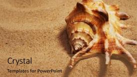  Presentation with seashell - PPT theme consisting of seashell on a sand background and a coral colored foreground