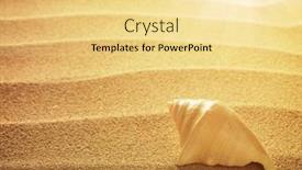  Presentation with seashell - 