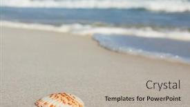  Presentation with seashell - 