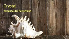  Presentation with seashell - Colorful PPT theme enhanced with seashell-on-old-wooden-table backdrop and a tawny brown colored foreground