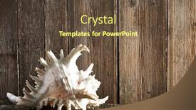  Presentation with seashell - Amazing theme having seashell-on-old-wooden-table backdrop and a tawny brown colored foreground