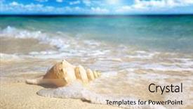  Presentation with seashell - Slide deck consisting of seashell on the beach shallow background and a lemonade colored foreground