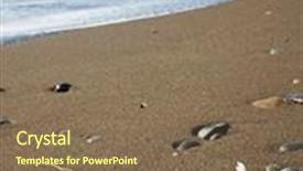  Presentation with seashell - Colorful PPT theme enhanced with seashell on the beach under blue sky backdrop and a violet colored foreground