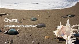  Presentation with seashell - Colorful slide set enhanced with seashell on the beach under blue sky backdrop and a violet colored foreground
