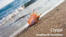  Presentation with seashell - Colorful PPT theme enhanced with seashell on the sand of seashore backdrop and a coral colored foreground