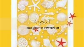  Presentation with nature design - Slide set with seashell-sea-life-with-pearls background and a  colored foreground