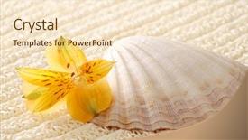  Presentation with seashell - Theme having seashell with yellow on towel background and a lemonade colored foreground