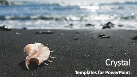  Presentation with seashell - PPT layouts having seashells - big seashell spider conch lambis background and a dark gray colored foreground