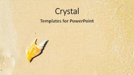  Presentation with seashell - Presentation with seashells - seashell at the tropical beach background and a lemonade colored foreground