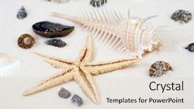  Presentation with starfish - Cool new presentation theme with seashells and a starfish in the white sand backdrop and a lemonade colored foreground