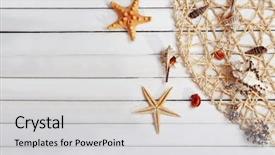  Presentation with fishing net - Theme consisting of seashells and fishing net background and a light gray colored foreground