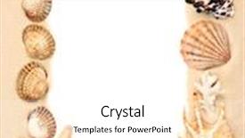  Presentation with picture frame - Presentation with seashells and starfish on sand picture frame background and a white colored foreground