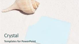  Presentation with seashell - PPT layouts consisting of seashells invitation - pretty seashell on sand background and a sky blue colored foreground
