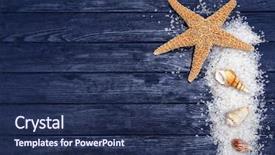  Presentation with starfish - Audience pleasing presentation theme consisting of seashells invitation - starfish and shells backdrop and a navy blue colored foreground