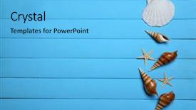  Presentation with copy space - Slide set featuring seashells invitation - starfish and shells background and a light blue colored foreground