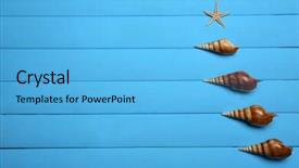  Presentation with blue aged wood sign - Amazing presentation having seashells invitation - starfish and shells backdrop and a light blue colored foreground