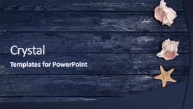  Presentation with invitation - Amazing presentation having seashells invitation - starfish and shells backdrop and a navy blue colored foreground