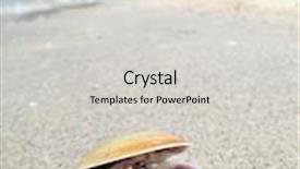  Presentation with malaysia - Presentation theme consisting of seashells on a beach background and a light gray colored foreground