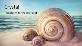  Presentation with beach - Slide deck having seashells on a sandy beach background and a  colored foreground