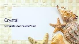  Presentation with 2018 goals text on white - Cool new theme with seashells on a white sheet backdrop and a  colored foreground