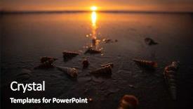  Presentation with tropical beach sunset - Slides with seashells on sand beach background and a wine colored foreground