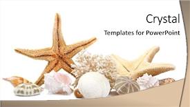  Presentation with seashell - PPT theme with change wheel on a car that lifting the car up to change it in garage that take out the nut form tries background and a light gray colored foreground.