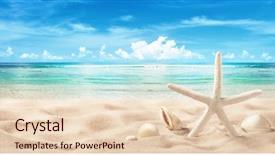  Presentation with seashell - Colorful presentation theme enhanced with seashells on seashore close up backdrop and a lemonade colored foreground