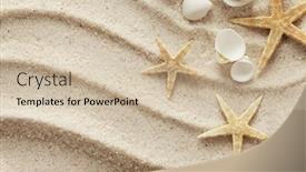  Presentation with waves - PPT theme having seashells-on-the-beach-sand background and a soft green colored foreground