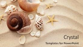  Presentation with seashell - Presentation design with seashells on the beach background and a lemonade colored foreground