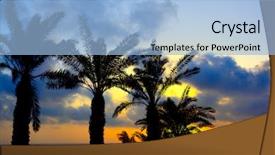  Presentation with seashore - Presentation theme consisting of seashore with palms at sundown background and a light blue colored foreground