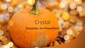  Presentation with festive season - Presentation design featuring season-and-halloween-concept-pumpkin background and a gold colored foreground