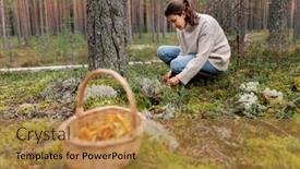  Presentation with mushroom - Slide set consisting of season-and-leisure-people-concept background and a gold colored foreground