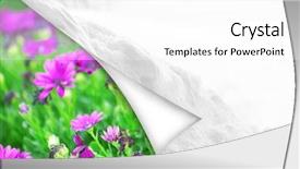  Presentation with season - Slide set consisting of season change background and a white colored foreground