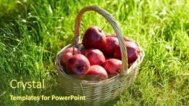  Presentation with season - Presentation theme having season-gardening-and-harvesting-concept background and a tawny brown colored foreground