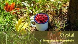  Presentation with maple leaves - Slide set having season-gardening-and-harvesting-concept background and a tawny brown colored foreground