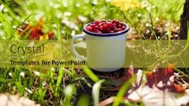  Presentation with maple leaves - Theme featuring season-gardening-and-harvesting-concept background and a gold colored foreground