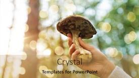  Presentation with season - Slide set enhanced with season-nature-and-leisure-concept background and a yellow colored foreground