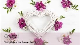  Presentation with beautiful spring flowers - Theme enhanced with season s greeting - beautiful spring flowers on white background and a coral colored foreground