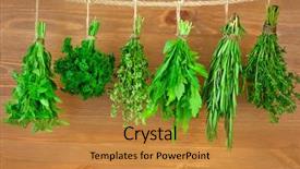  Presentation with rustic herbs on wood - Presentation consisting of season sage - fresh herbs collection is hanging background and a gold colored foreground