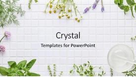  Presentation with herbs - Beautiful presentation theme featuring season sage - fresh herbs on white masaic backdrop and a sky blue colored foreground