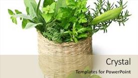  Presentation with straw - Audience pleasing theme consisting of season sage - fresh spices herbs in straw backdrop and a coral colored foreground