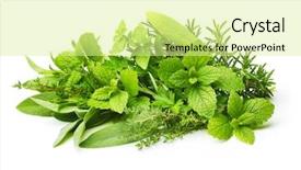  Presentation with spices - Theme enhanced with season sage - fresh spices herbs isolated background and a blonde colored foreground