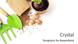  Presentation with gardening tools on fertile soil - Colorful slide set enhanced with season sage - gardening tools isolated on white backdrop and a white colored foreground